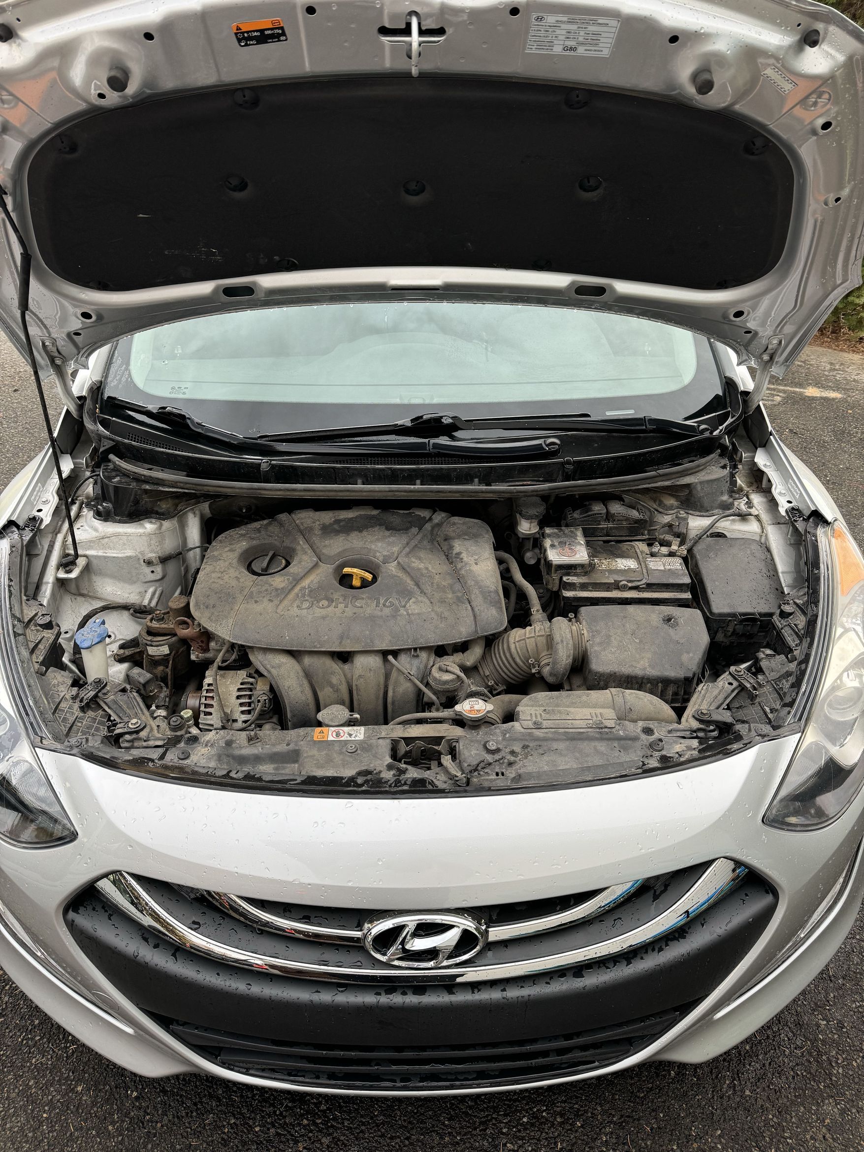 engine bay before.jpeg